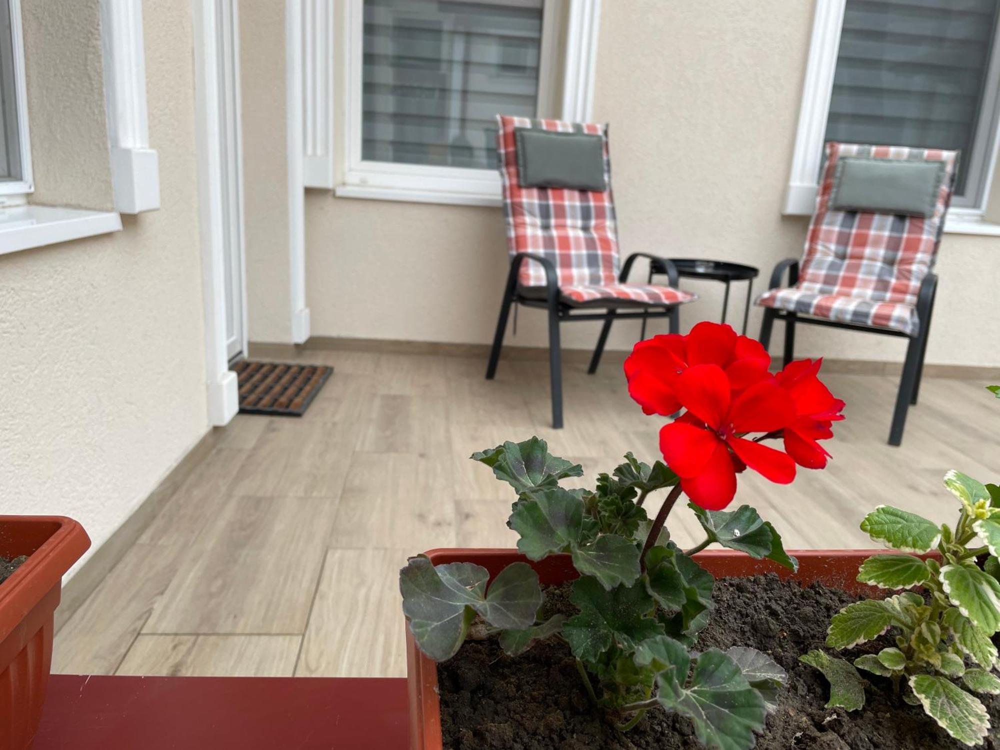 Urban Apartments 수보티차 외부 사진